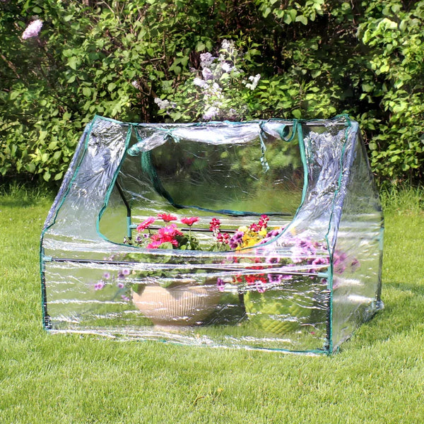 4' W x 3' D Mini Greenhouse